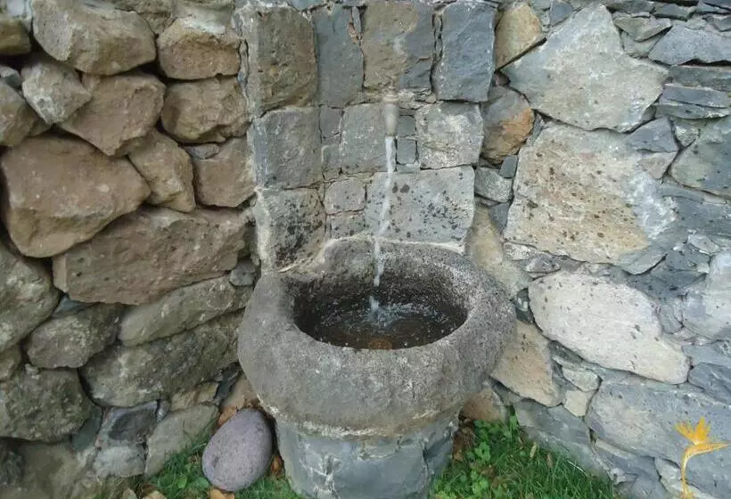 ホテル A Casa Estrelícia Dourada Garcês