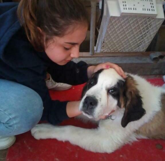 호텔 Agriturismo Le Mimose