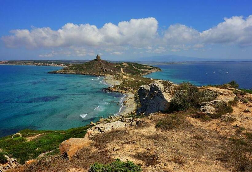 호텔 Agriturismo Le Mimose