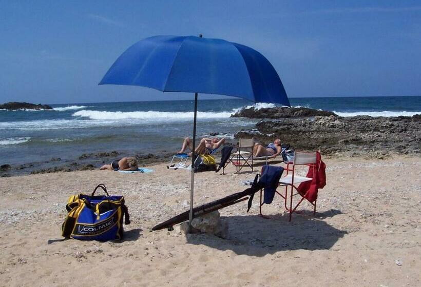 호텔 Agriturismo Le Mimose