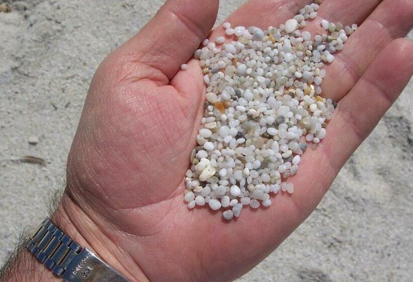 호텔 Agriturismo Le Mimose