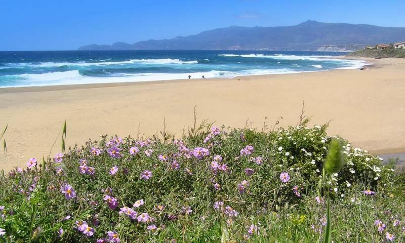 호텔 Agriturismo Le Mimose