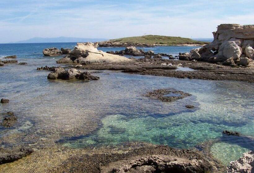 호텔 Agriturismo Le Mimose