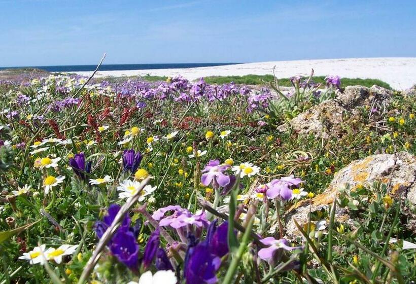호텔 Agriturismo Le Mimose