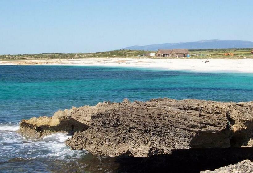 호텔 Agriturismo Le Mimose