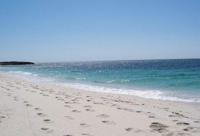 호텔 Agriturismo Le Mimose