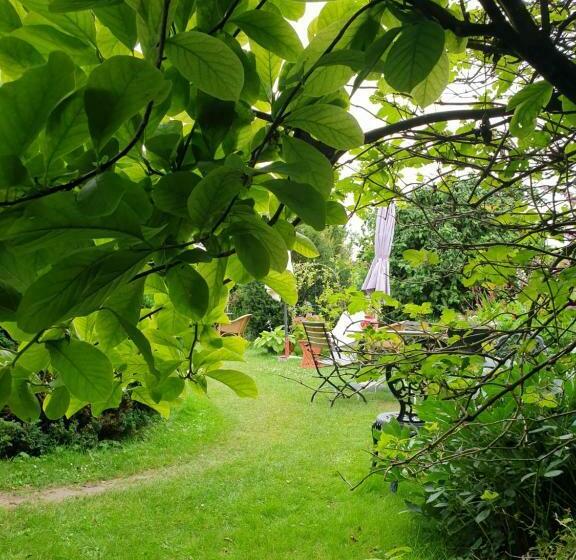 B&b Aan De Limes In Maurik