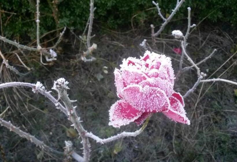 B&b Aan De Limes In Maurik