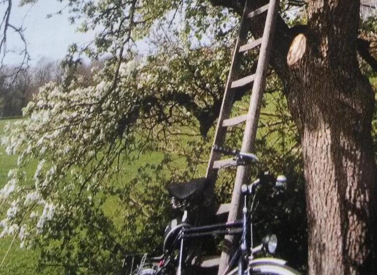 B&b Aan De Limes In Maurik