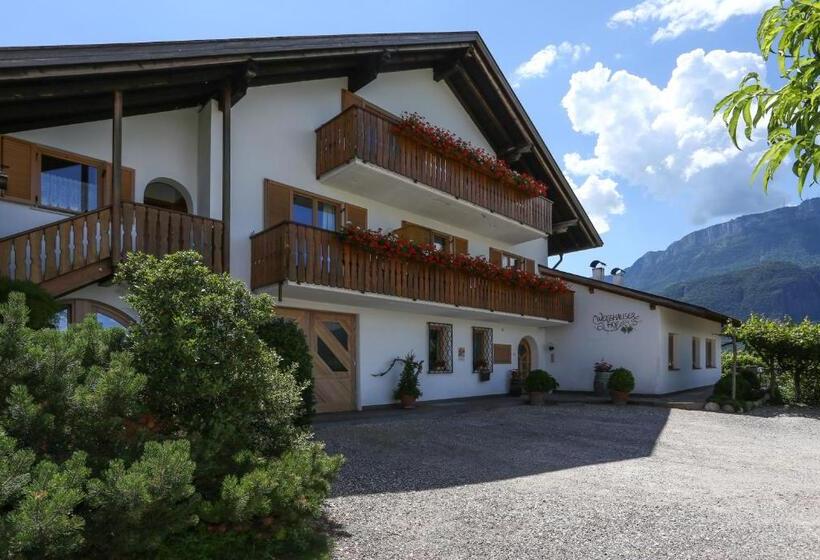 Nocleg ze śniadaniem Appartements Weisshauserhof