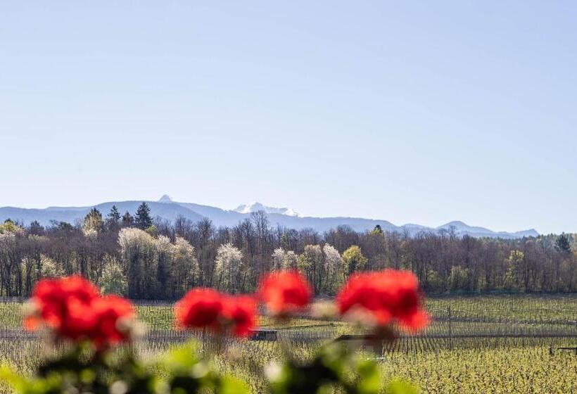 Nocleg ze śniadaniem Appartements Weisshauserhof