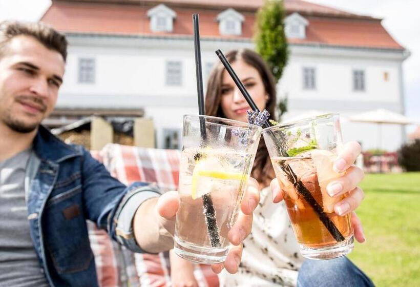 Bed and Breakfast Bagolyvár Fogadó  újfalusy Márton Vendégház