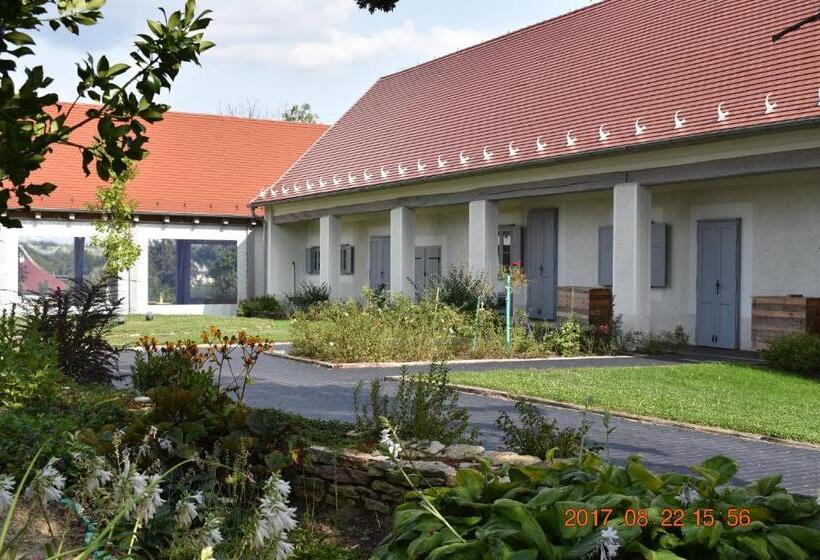 Bed and Breakfast Bagolyvár Fogadó  újfalusy Márton Vendégház