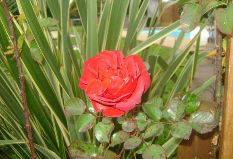 צימר Chambres D Hôtes Du Hourne