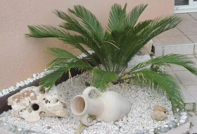 Aamiaismajoitus (B&B) Chambres D Hôtes Du Hourne