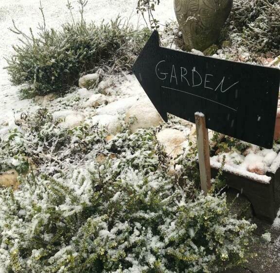 Bed And Breakfast D&d