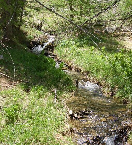 ベッドアンドブレックファースト La Ressource