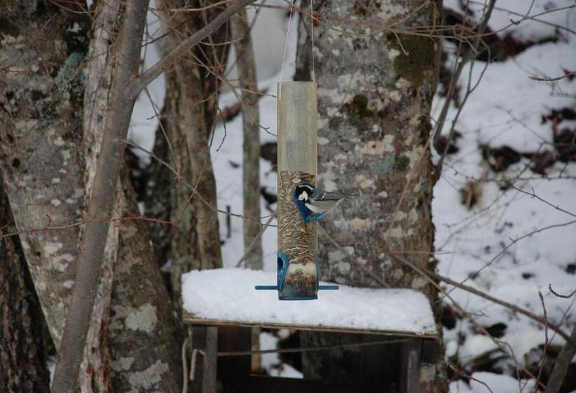 ベッドアンドブレックファースト La Ressource