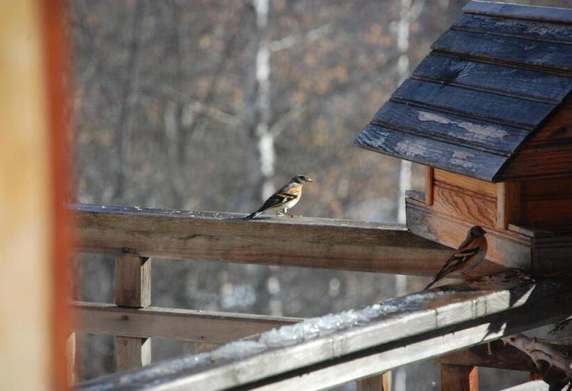 ベッドアンドブレックファースト La Ressource