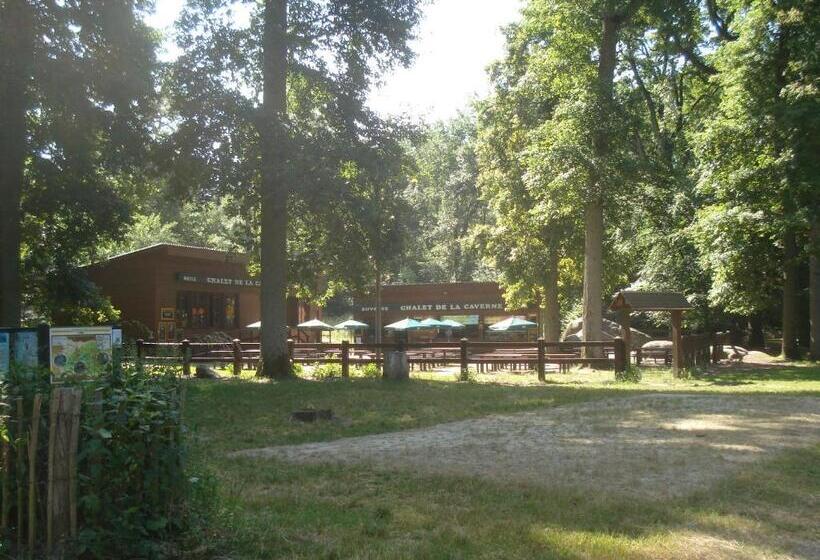 مبيت وإفطار Les Prémices De La Forêt