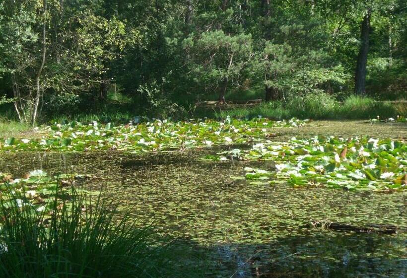 مبيت وإفطار Les Prémices De La Forêt