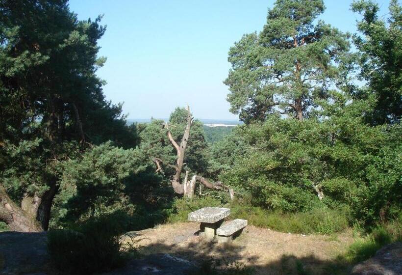 مبيت وإفطار Les Prémices De La Forêt