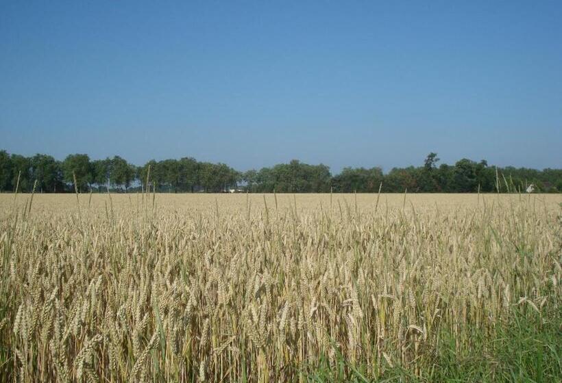 مبيت وإفطار Les Prémices De La Forêt