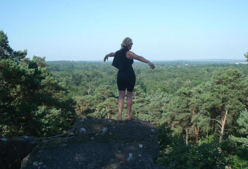 مبيت وإفطار Les Prémices De La Forêt