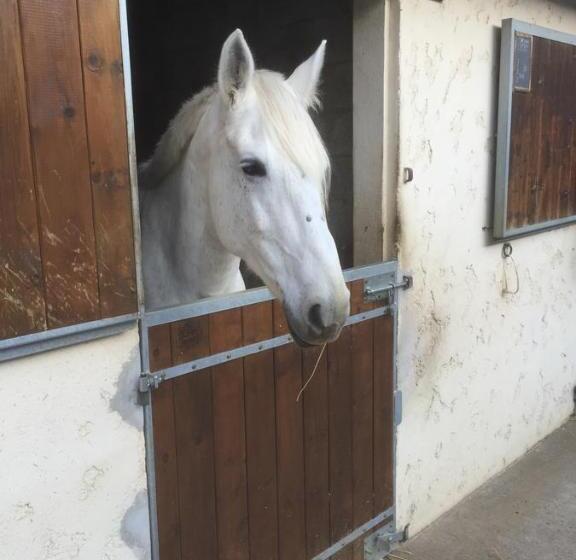 مبيت وإفطار Les Prémices De La Forêt