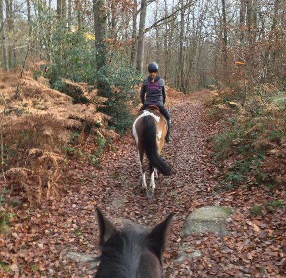 مبيت وإفطار Les Prémices De La Forêt