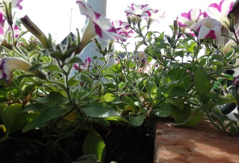 Bed and Breakfast Les Trois Pommiers