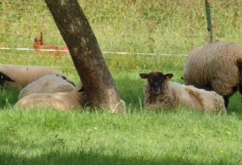 Aamiaismajoitus (B&B) Les Trois Pommiers