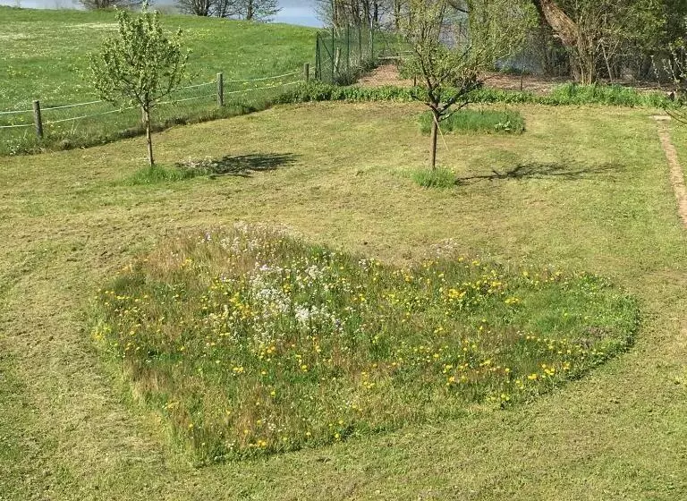 Aamiaismajoitus (B&B) Scherauer Hof