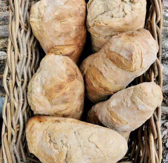 住宿加早餐 Scherauer Hof