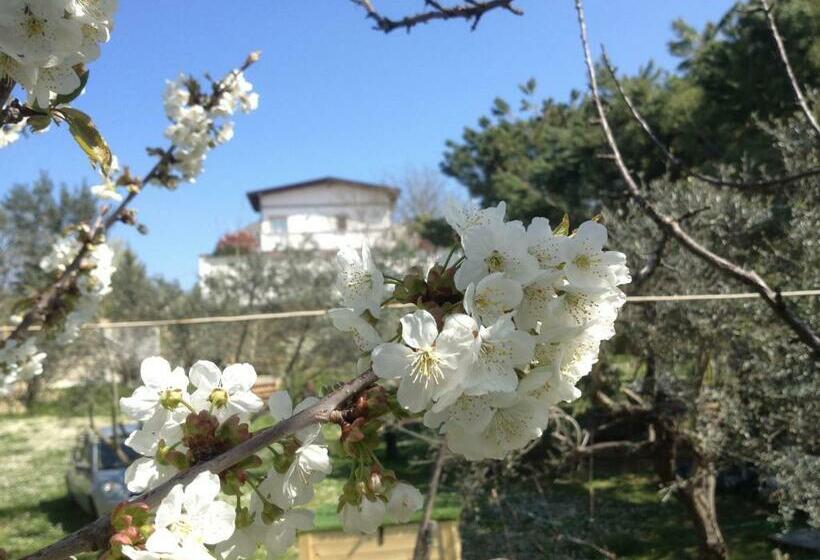 تختخواب و صبحانه Via Col Vento