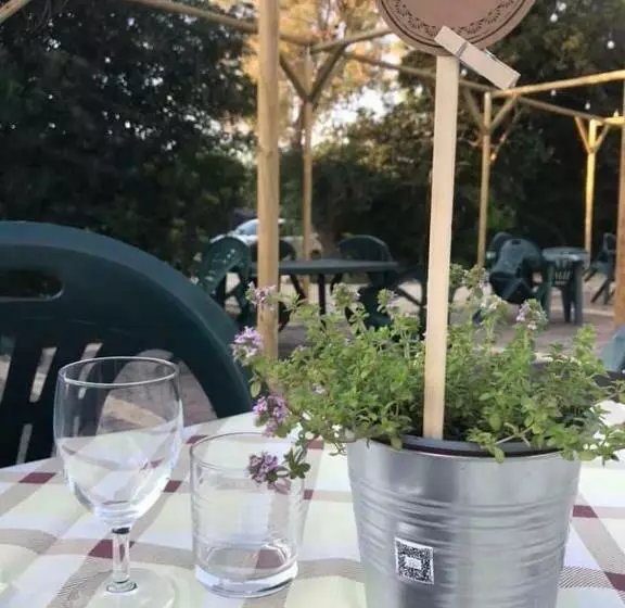 Hotelli Fattoria Il Noce B&b