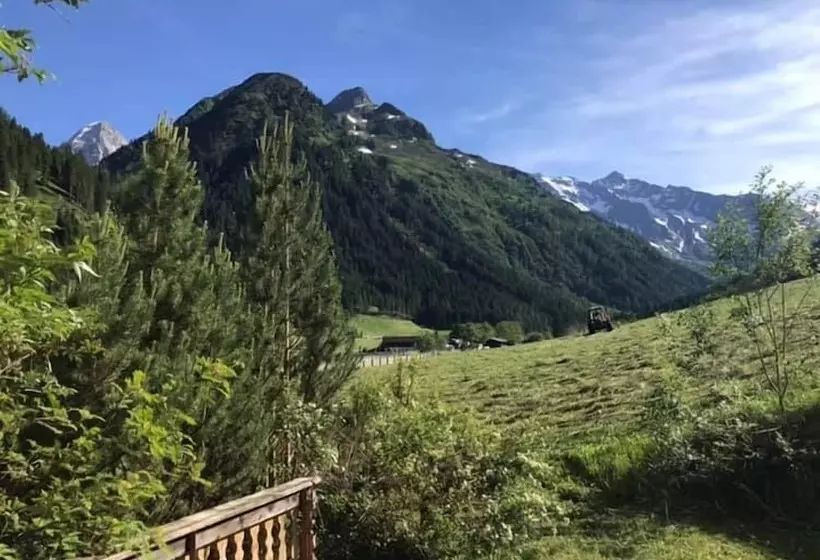 Отель Alfaierhof Bergheimat