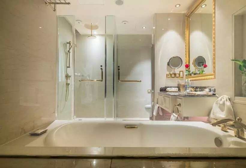 هتل Sheraton Chongqing