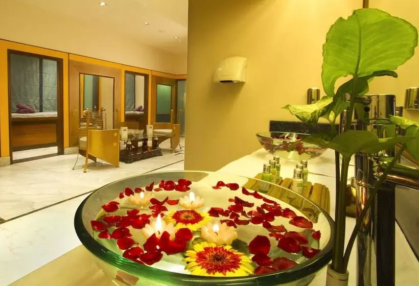 هتل The Piccadily