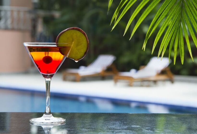 هتل The Piccadily