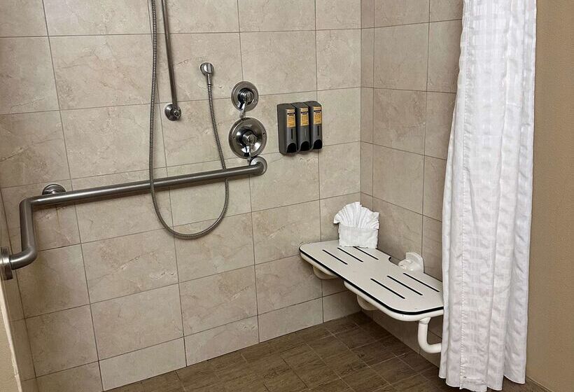 汽车旅馆  Best Western Plus Oceanside Palms