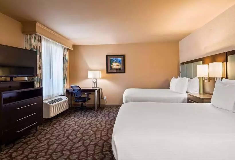 汽车旅馆  Best Western Plus Oceanside Palms