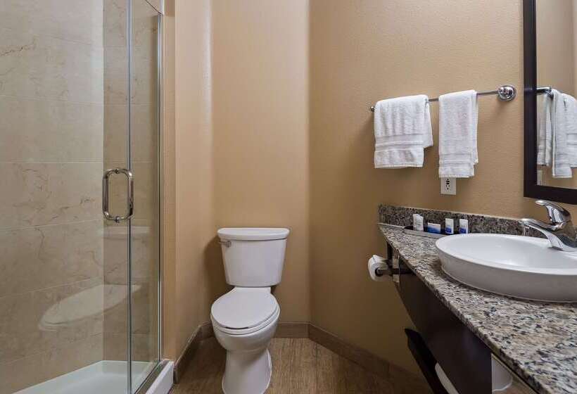 汽车旅馆  Best Western Plus Oceanside Palms