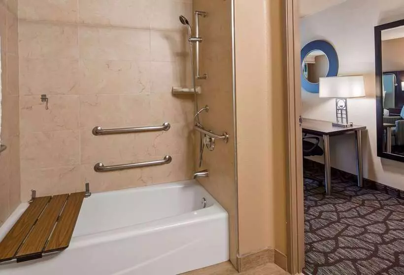 汽车旅馆  Best Western Plus Oceanside Palms