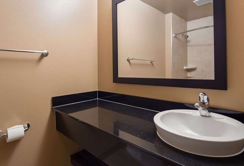 汽车旅馆  Best Western Plus Oceanside Palms