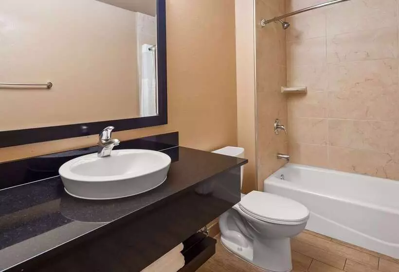 汽车旅馆  Best Western Plus Oceanside Palms