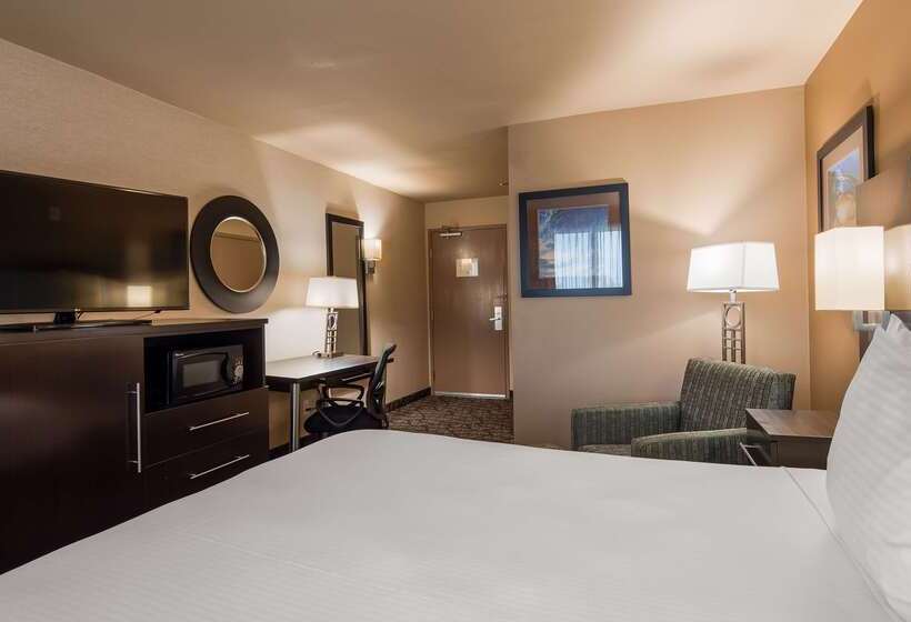 汽车旅馆  Best Western Plus Oceanside Palms