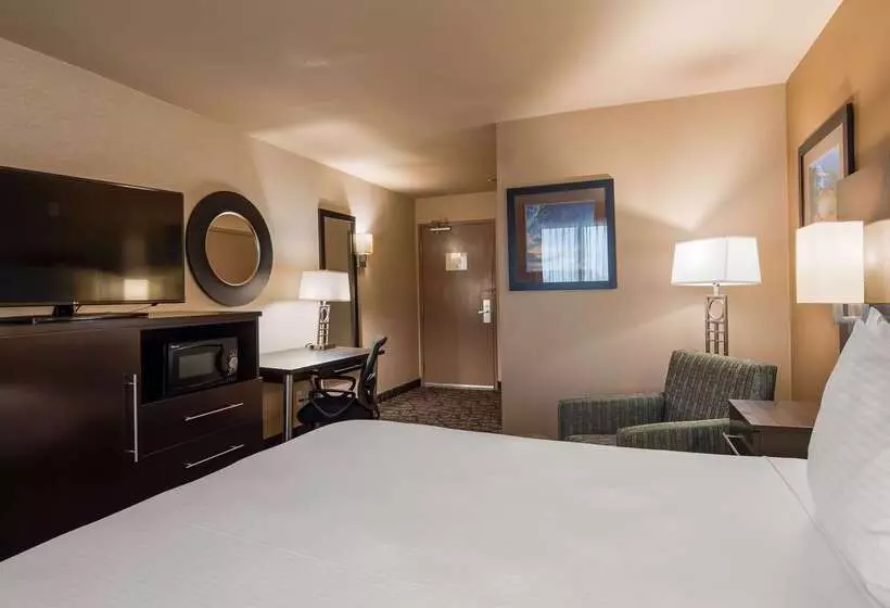 汽车旅馆  Best Western Plus Oceanside Palms