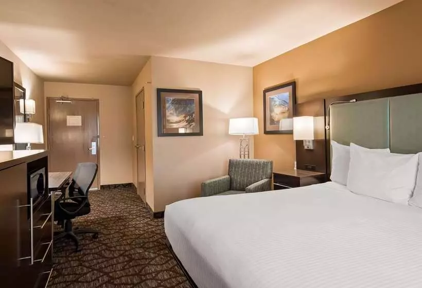 汽车旅馆  Best Western Plus Oceanside Palms