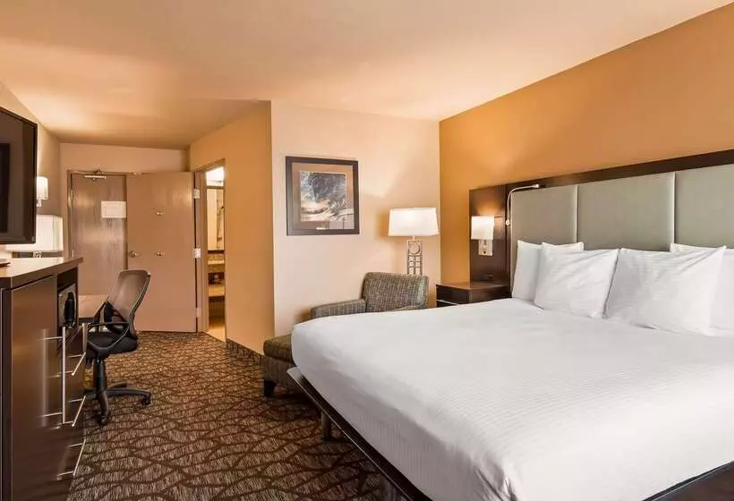 汽车旅馆  Best Western Plus Oceanside Palms